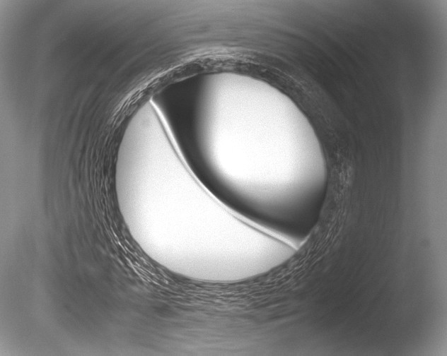 X0000086310775200703300955