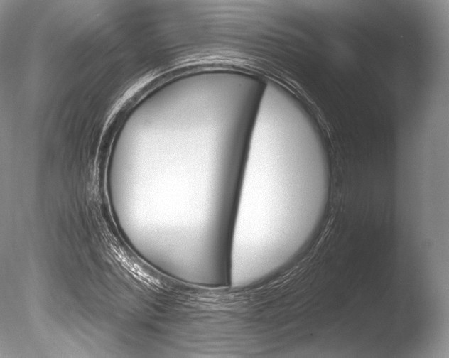X0000086310780200703300955