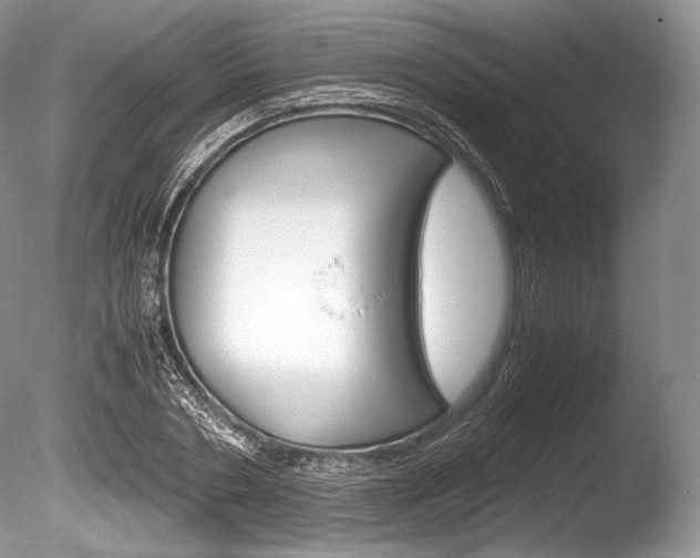 X0000086310786200703300955
