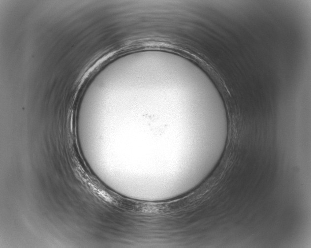 X0000086310790200703300955