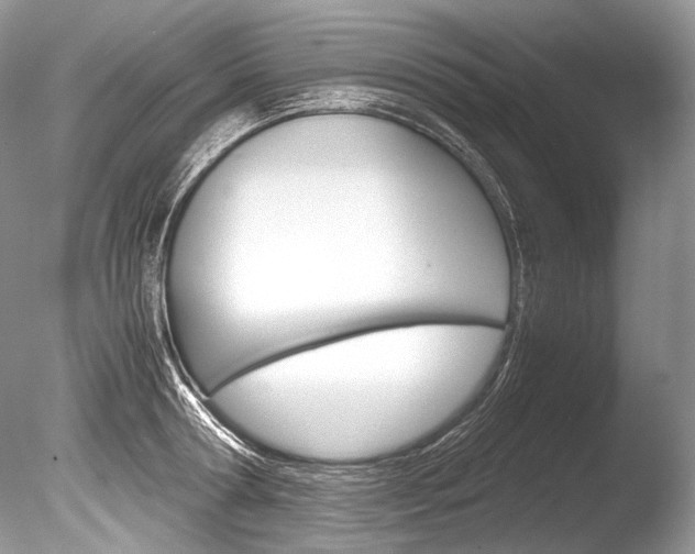 X0000086310802200703300955