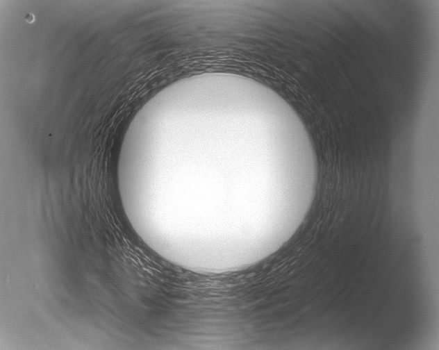 X0000086310818200703300954