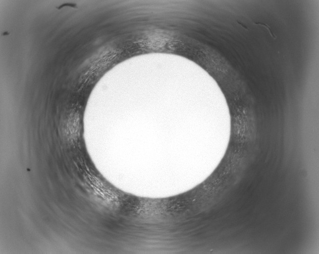 X0000086310820200703300954