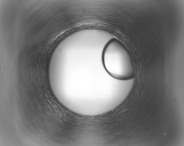 X0000086310822200703300954