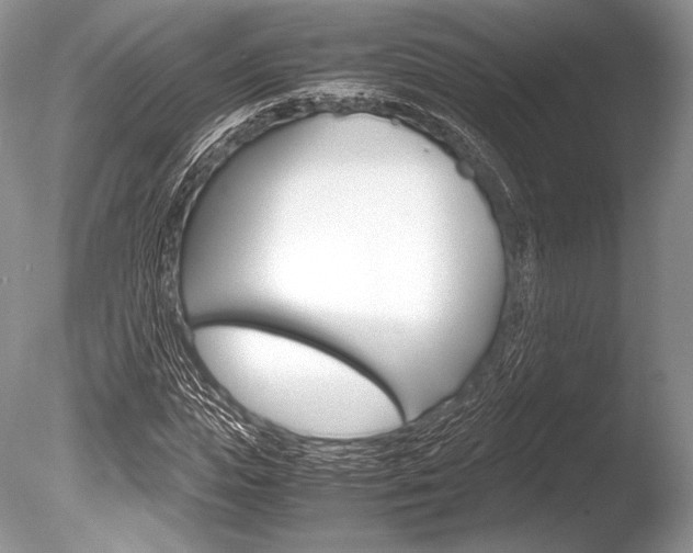 X0000086310823200703300954