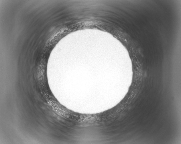 X0000086310824200703300954
