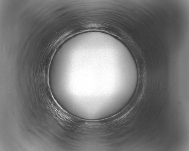 X0000086310825200703300954