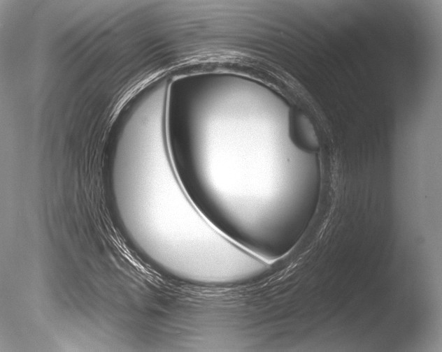 X0000086310826200703300954