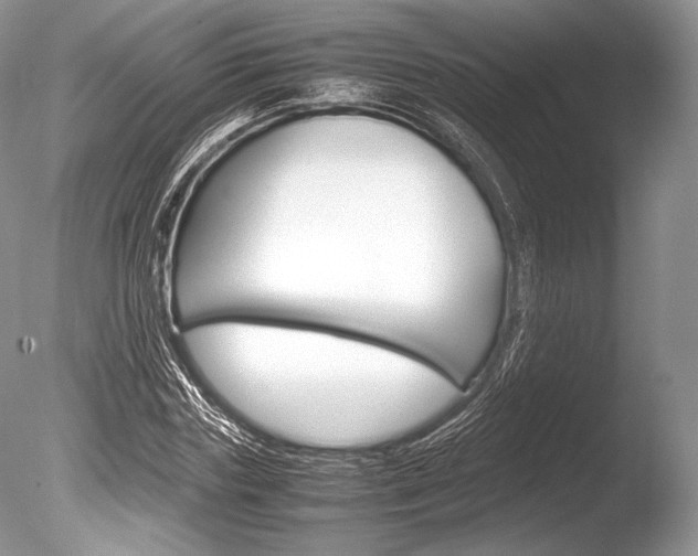 X0000086310827200703300954