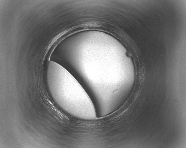 X0000086310829200703300954