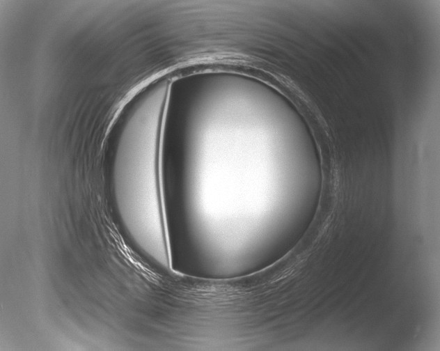 X0000086310830200703300954