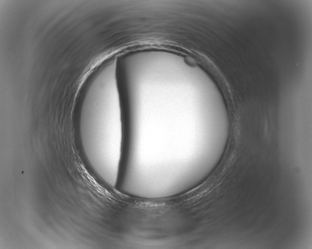 X0000086310831200703300954