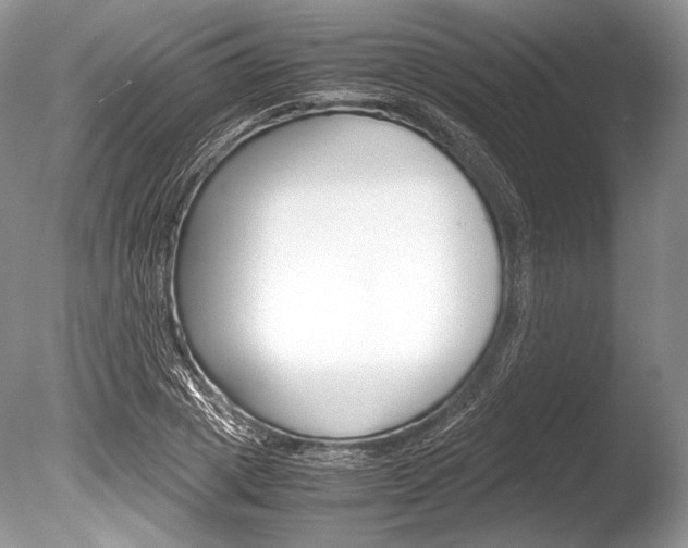 X0000086310833200703300954