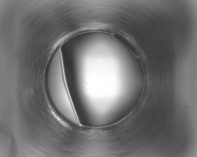 X0000086310842200703300954