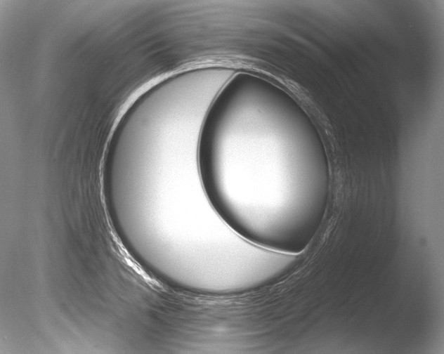 X0000086310846200703300954
