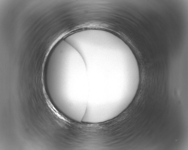 X0000086310848200703300954