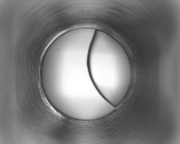 X0000086310852200703300954