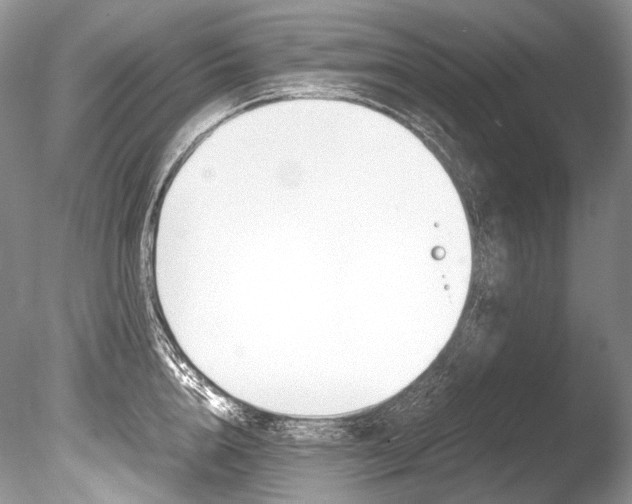 X0000086310856200703300954