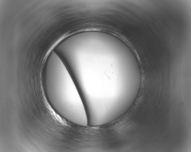 X0000086310859200703300954