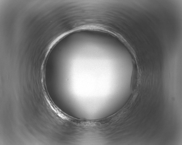 X0000086310862200703300954
