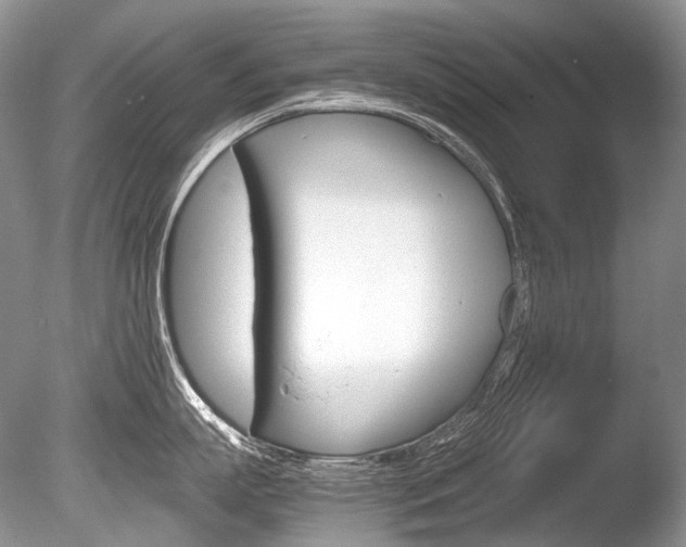 X0000086310863200703300954