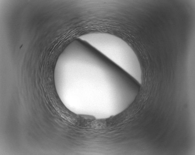 X0000086310865200703300953