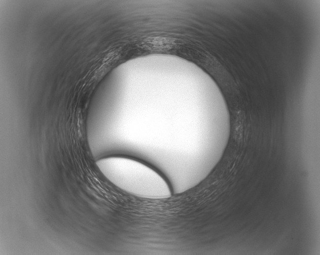 X0000086310866200703300953