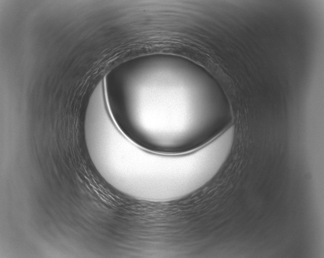 X0000086310868200703300953