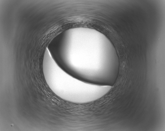 X0000086310869200703300953