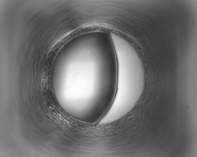 X0000086310872200703300953