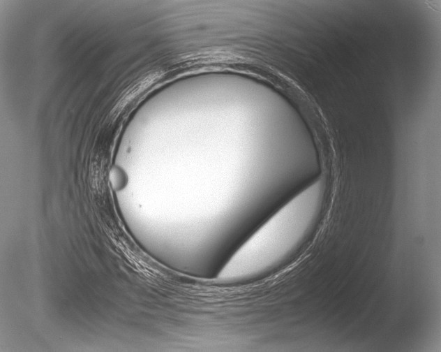 X0000086310873200703300953