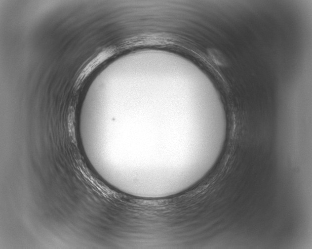 X0000086310874200703300953