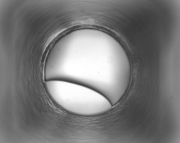 X0000086310879200703300953