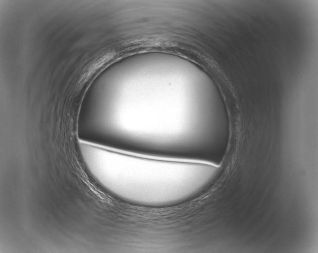 X0000086310881200703300953