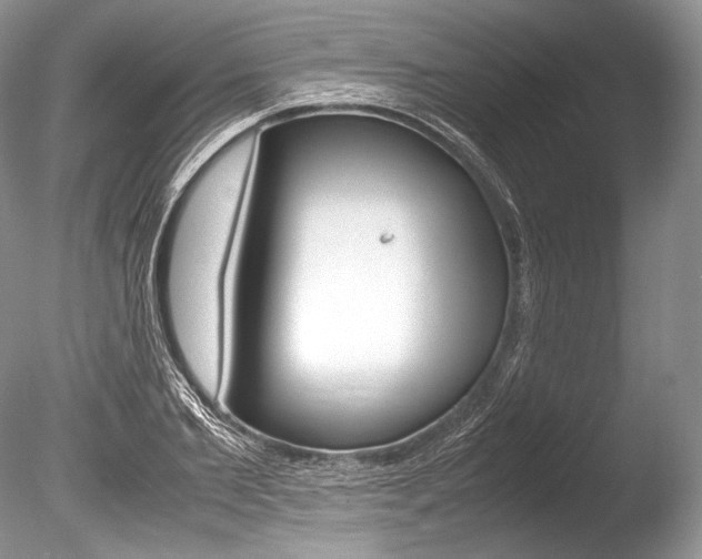X0000086310885200703300953