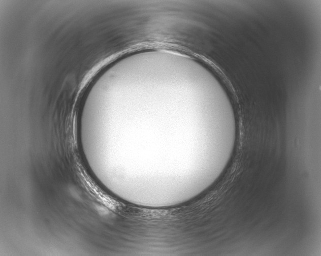 X0000086310886200703300953