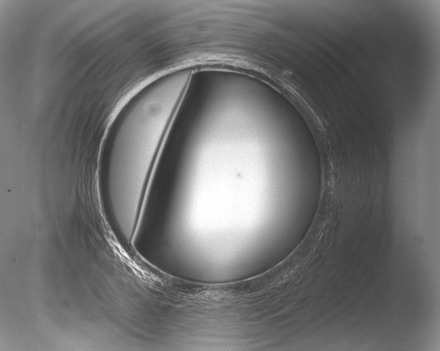 X0000086310888200703300953