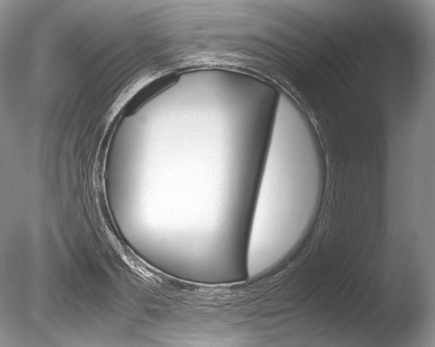 X0000086310893200703300953