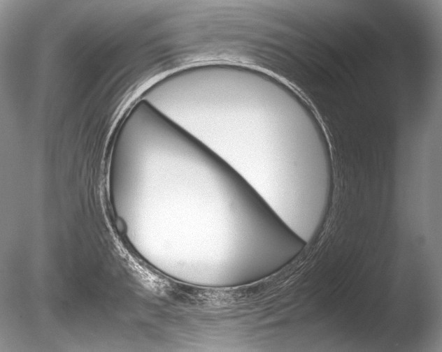 X0000086310895200703300953
