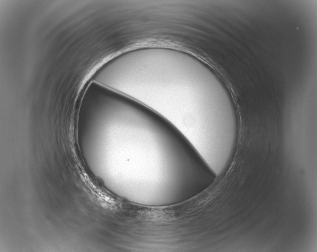 X0000086310896200703300953