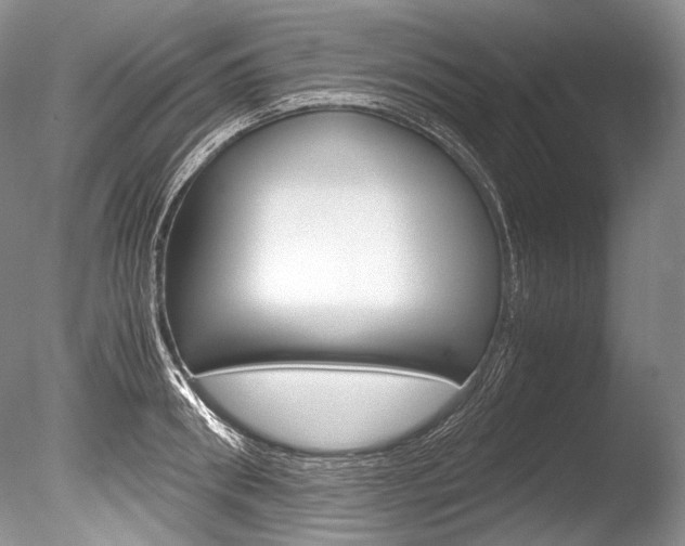 X0000086310898200703300953