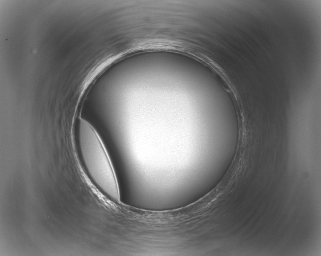 X0000086310901200703300953