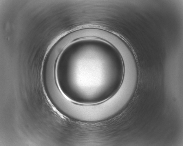 X0000086310902200703300953
