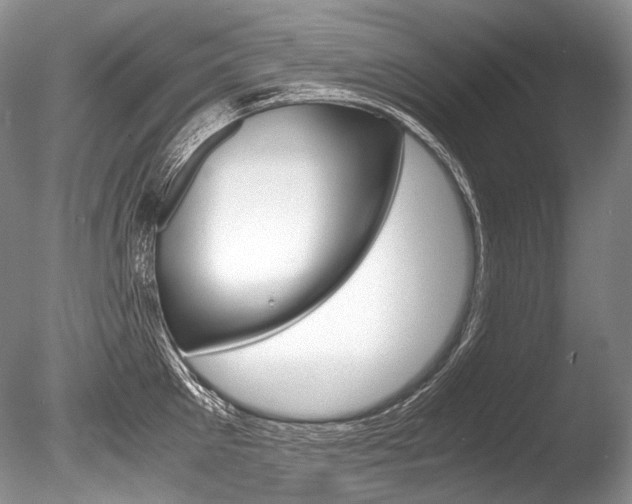 X0000086310905200703300953