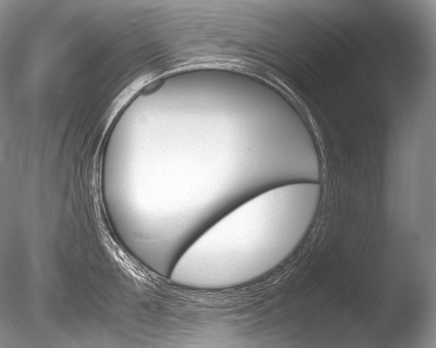 X0000086310907200703300953