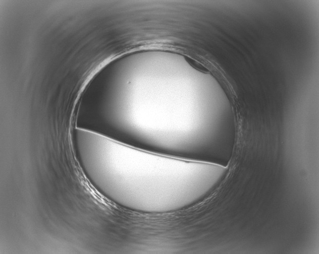 X0000086310908200703300953