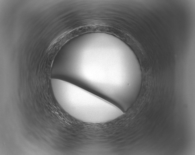 X0000086310919200703300952