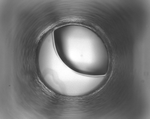 X0000086310922200703300952