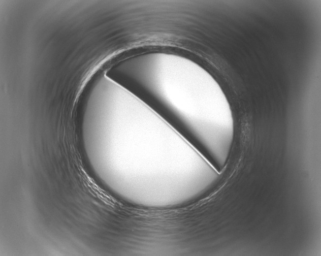 X0000086310926200703300952