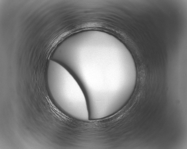 X0000086310929200703300952